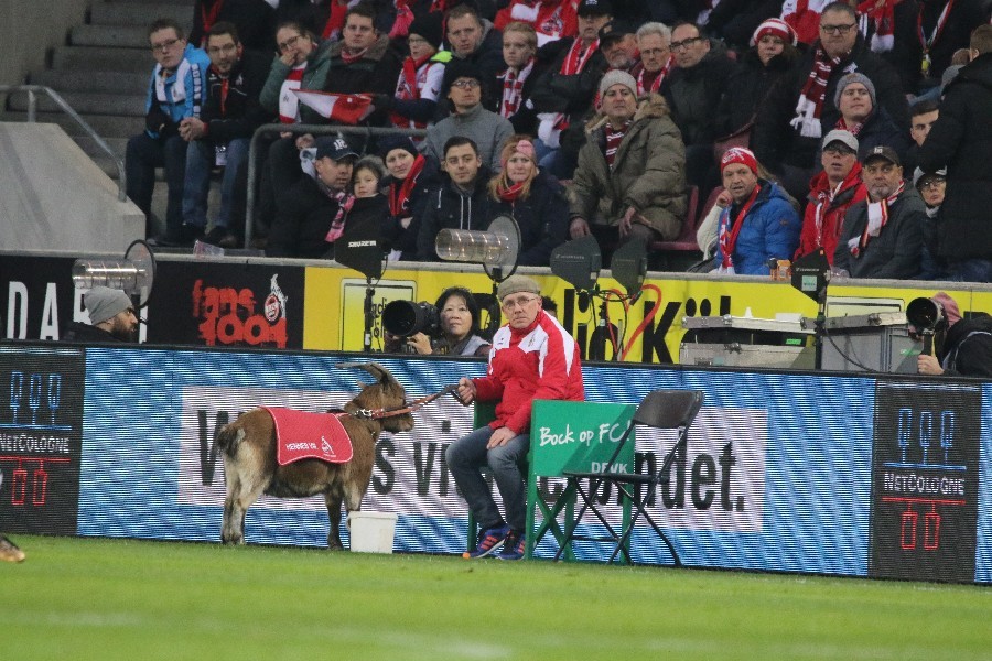 1. FC Köln- Borussia Mönchengladbach (2017/18)_11