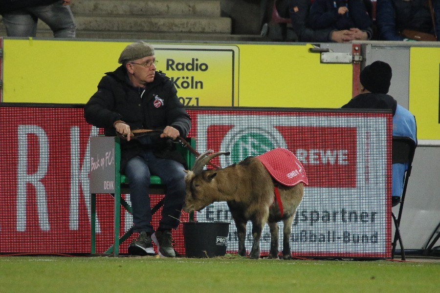 1. FC Köln- FC St. Pauli (2018/19)_29