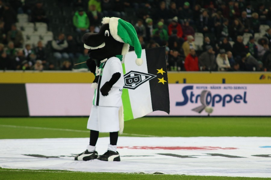 Borussia Mönchengladbach- 1. FC Nürnberg (2018/19)_32