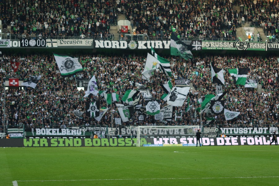 Borussia Mönchengladbach- 1. FSV Mainz 05 (2018/19)_17