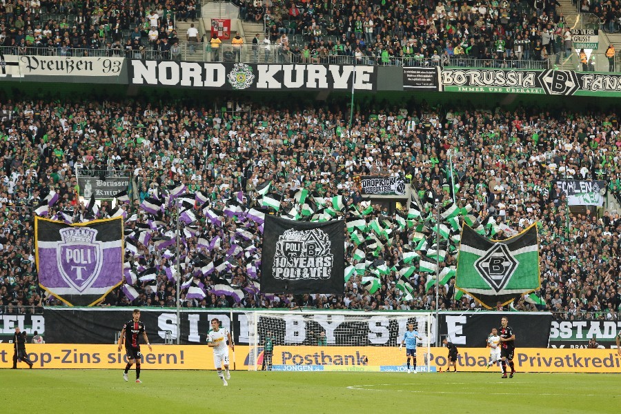 Borussia Mönchengladbach- Bayer 04 Leverkusen (2018/19)_21
