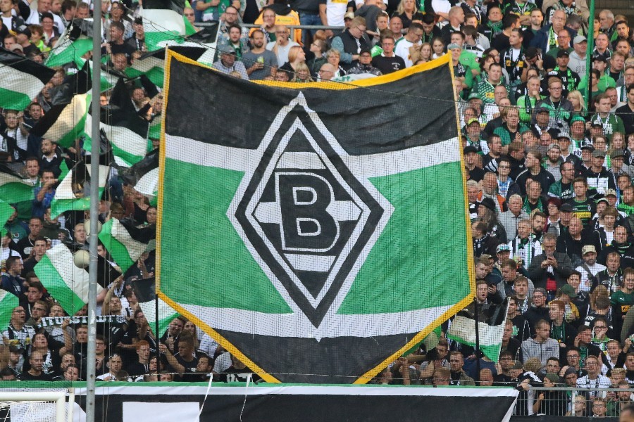 Borussia Mönchengladbach- Bayer 04 Leverkusen (2018/19)_24