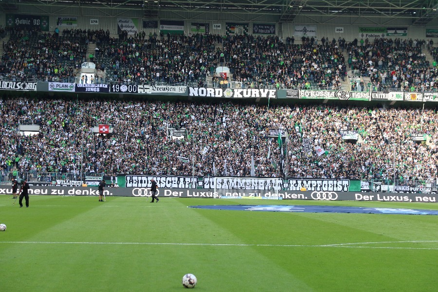 Borussia Mönchengladbach- Bayer 04 Leverkusen (2018/19)_4