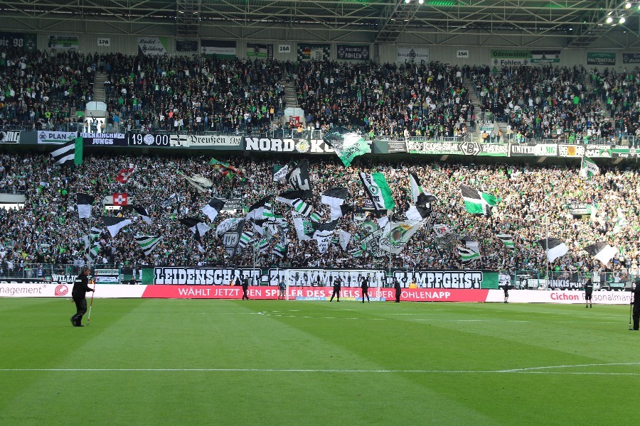 Borussia Mönchengladbach- Bayer 04 Leverkusen (2018/19)_6