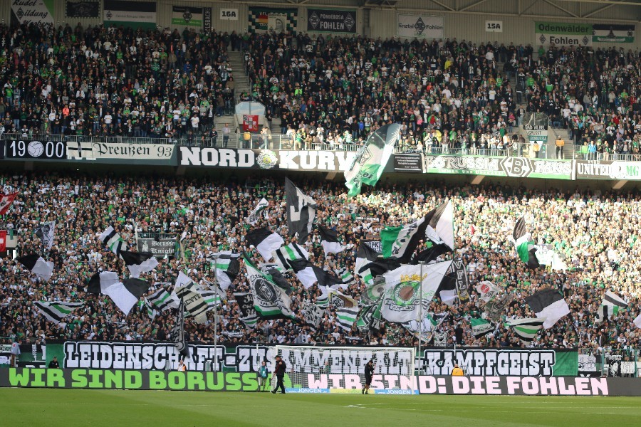 Borussia Mönchengladbach- Bayer 04 Leverkusen (2018/19)_7