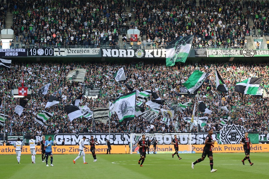 Borussia Mönchengladbach- Bayer 04 Leverkusen (2018/19)_8