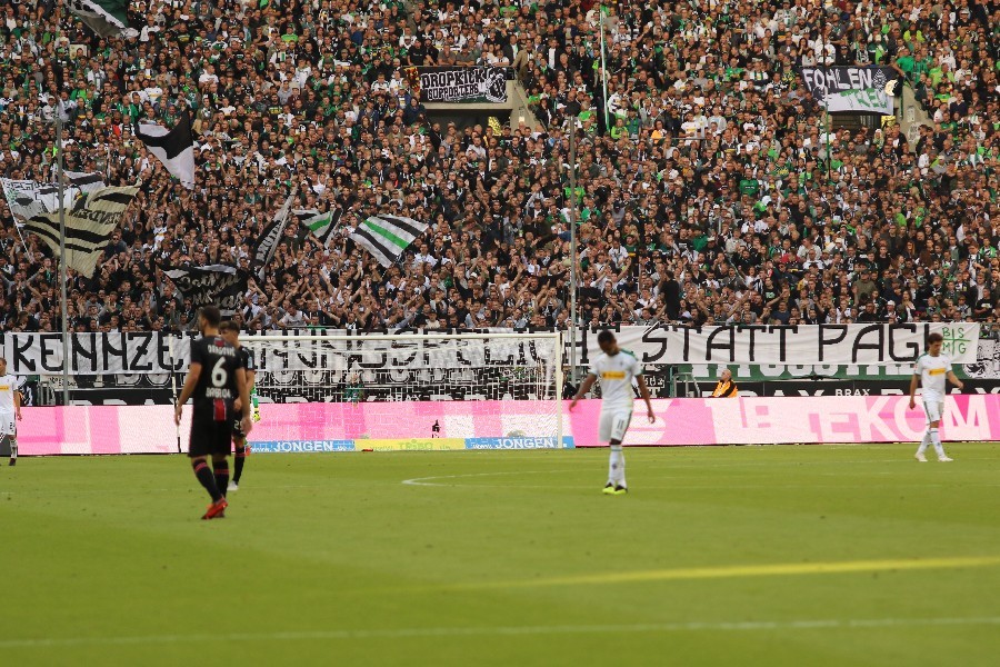 Borussia Mönchengladbach- Bayer 04 Leverkusen (2018/19)_9