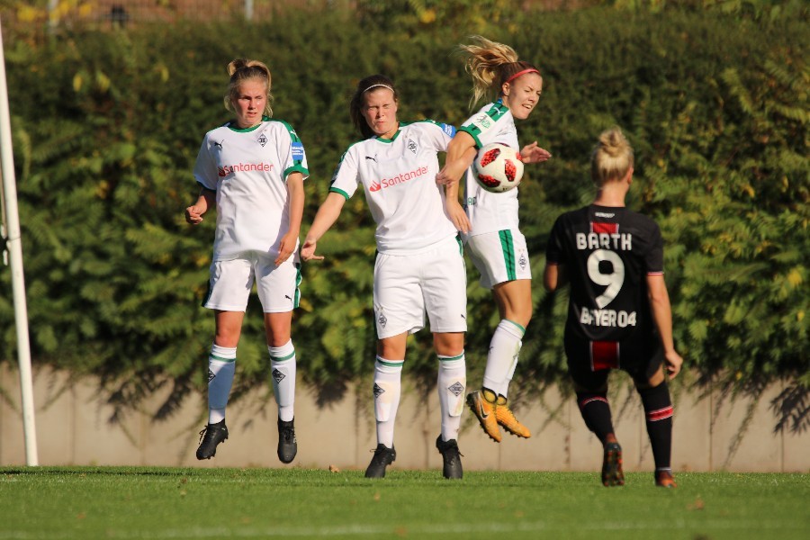 Borussia Mönchengladbach- Bayer 04 Leverkusen (2018/19)_20
