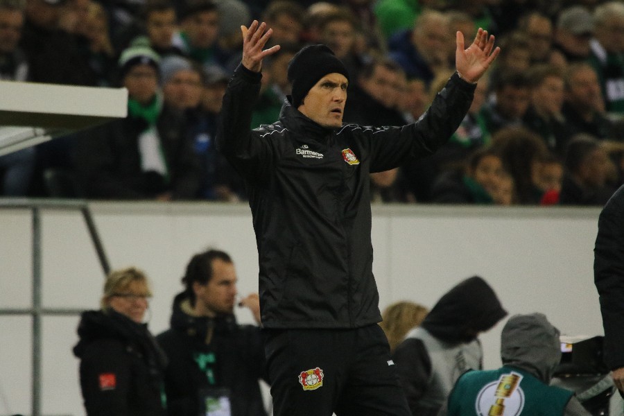Borussia Mönchengladbach- Bayer 04 Leverkusen (Pokal 2018/19)_15