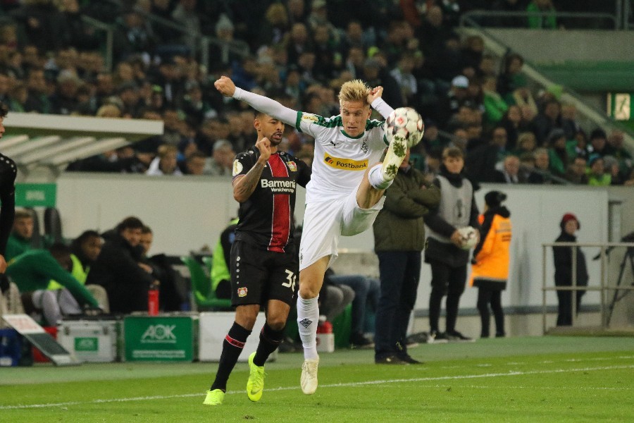 Borussia Mönchengladbach- Bayer 04 Leverkusen (Pokal 2018/19)_25