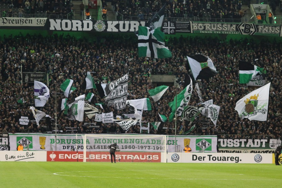 Borussia Mönchengladbach- Bayer 04 Leverkusen (Pokal 2018/19)_4
