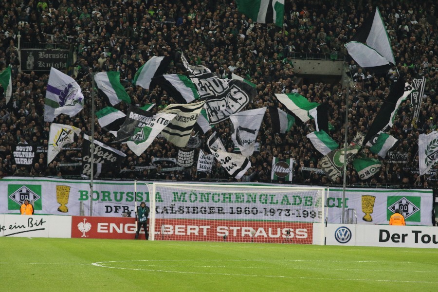 Borussia Mönchengladbach- Bayer 04 Leverkusen (Pokal 2018/19)_5