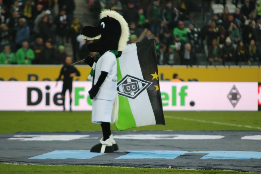 Borussia Mönchengladbach- Borussia Dortmund (2017/18)_8