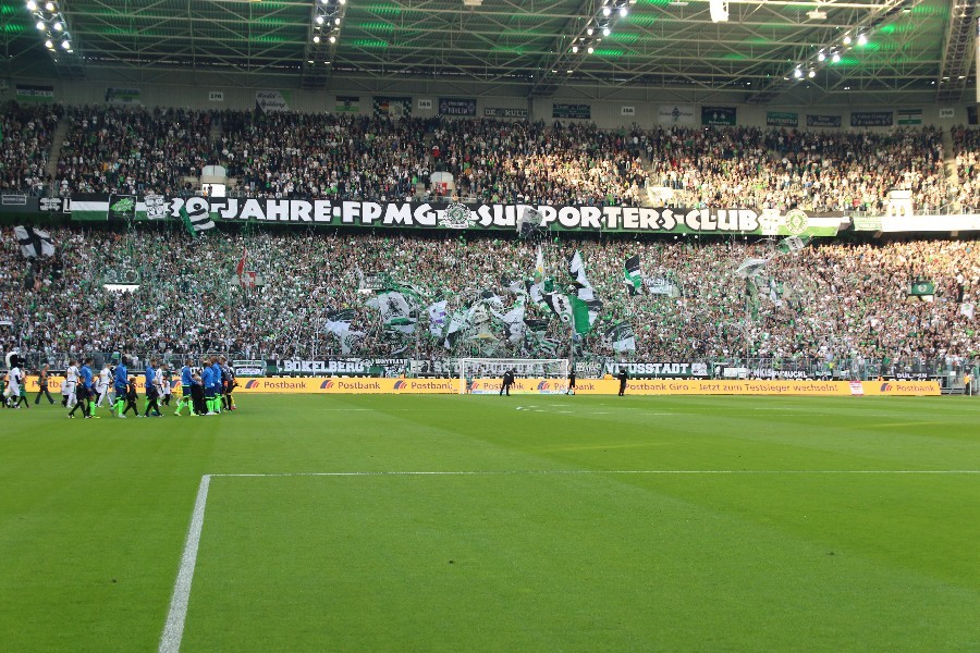 Borussia Mönchengladbach- FC Schalke 04 (2018/19)_10