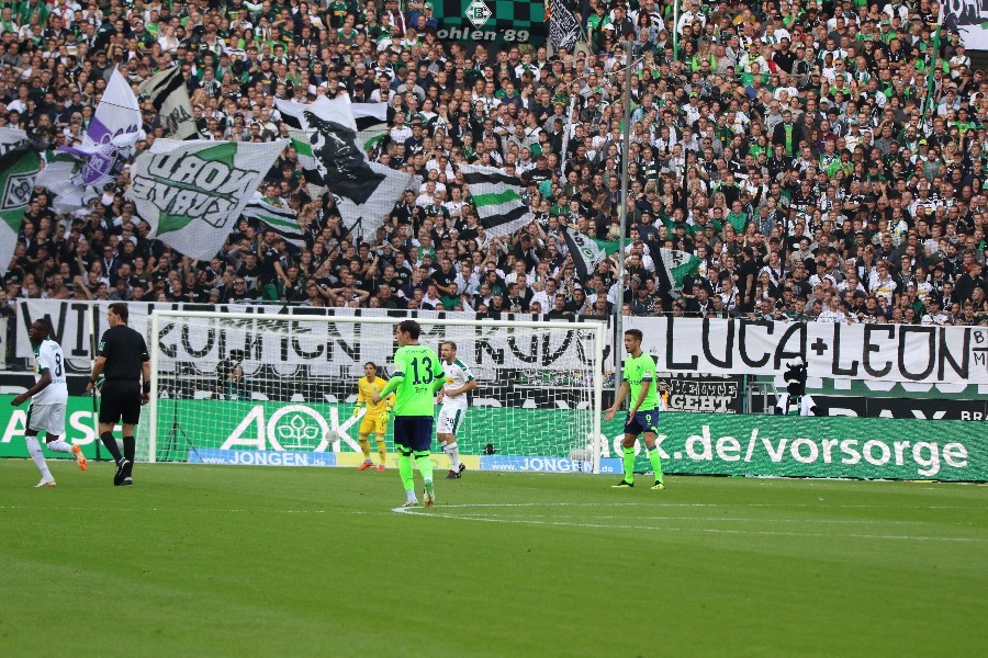 Borussia Mönchengladbach- FC Schalke 04 (2018/19)_19