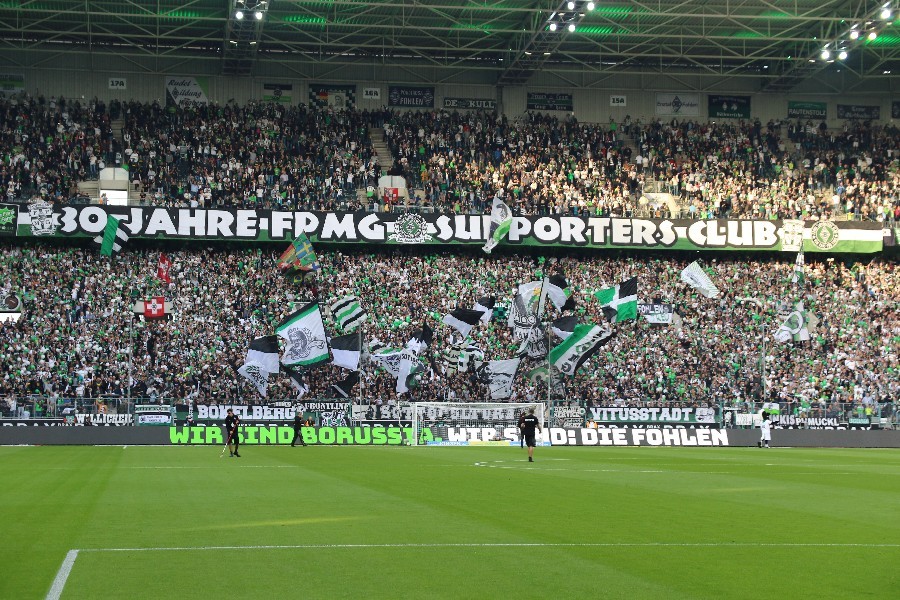 Borussia Mönchengladbach- FC Schalke 04 (2018/19)_8