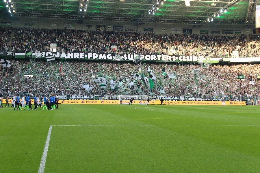 Borussia Mönchengladbach- FC Schalke 04 (2018/19)_9