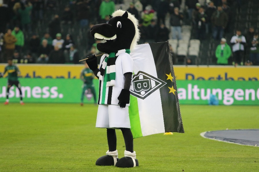 Borussia Mönchengladbach- RB Leipzig (2017/18)_9
