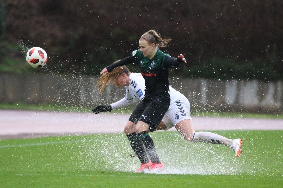 Borussia Mönchengladbach- SC Freiburg (2018/19)_18