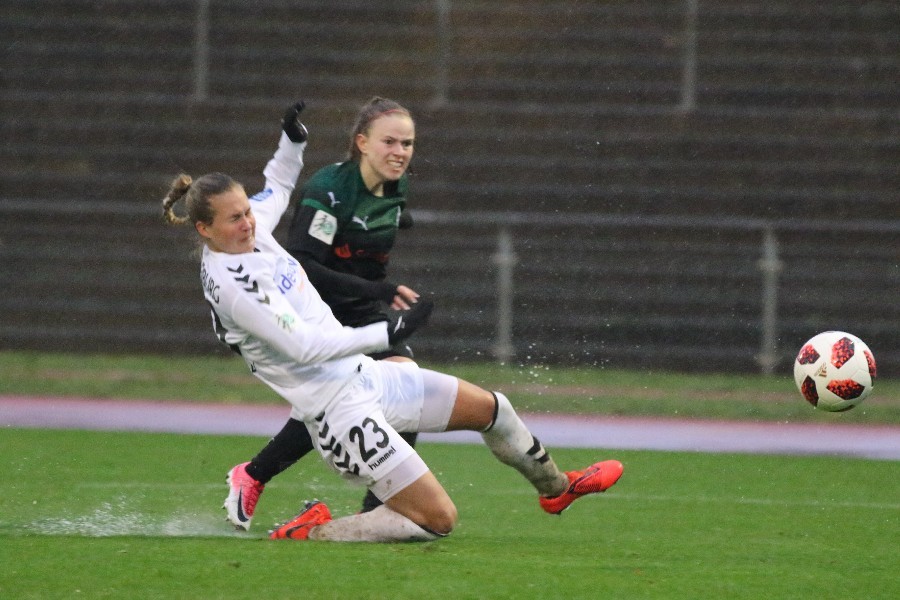 Borussia Mönchengladbach- SC Freiburg (2018/19)_38