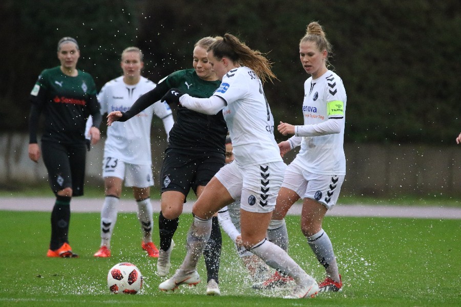 Borussia Mönchengladbach- SC Freiburg (2018/19)_8