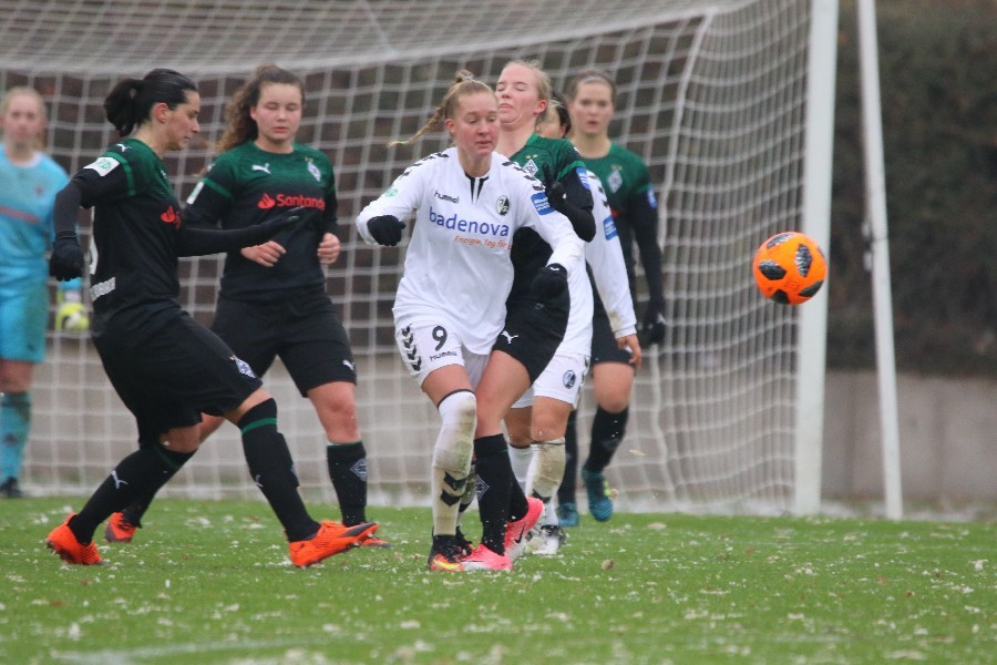 Borussia Mönchengladbach- SC Freiburg (2018/19)_35