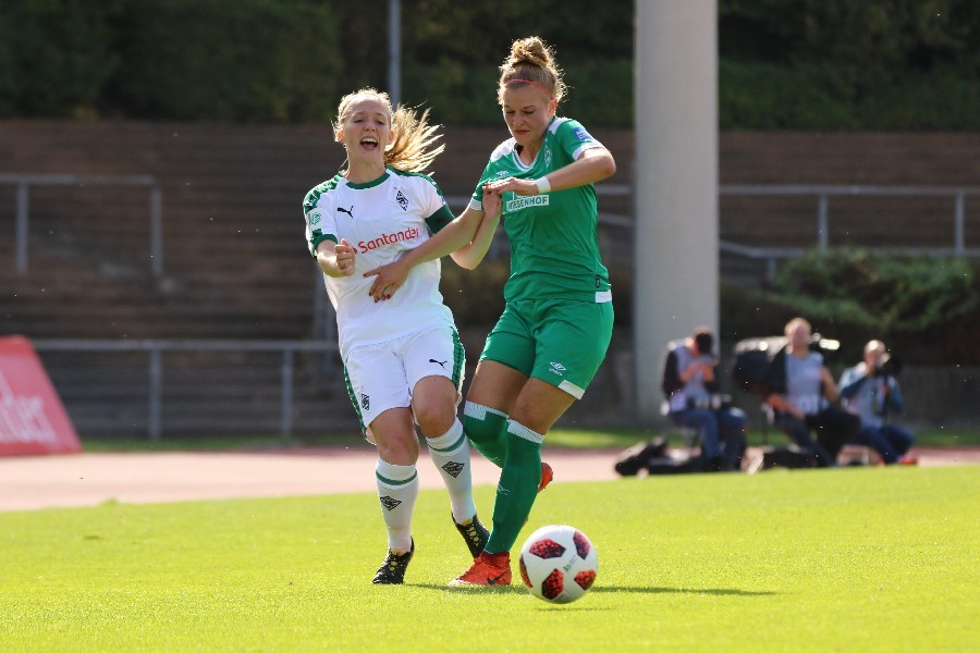 Borussia Mönchengladbach- SV Werder Bremen (2018/19)_20