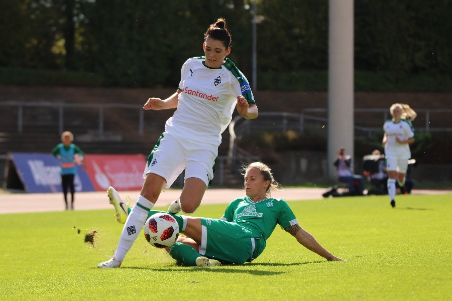 Borussia Mönchengladbach- SV Werder Bremen (2018/19)_4