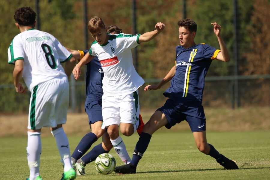 Borussia Mönchengladbach U16- 1. FC Düren (2018/19)_28