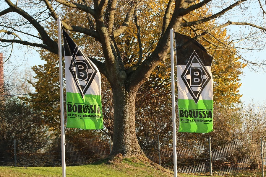 Borussia Mönchengladbach U23- SG Wattenscheid 09 (2018/19)_31