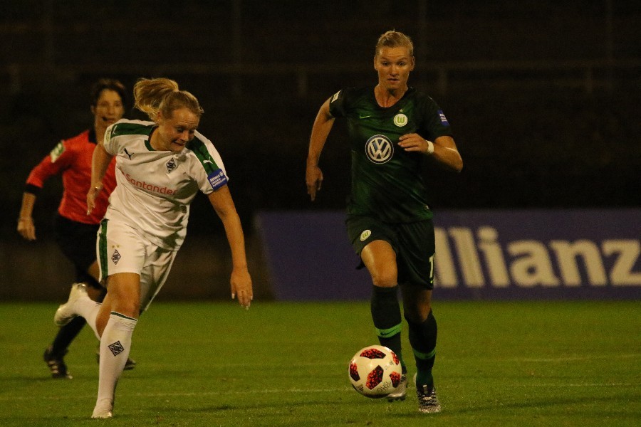 Borussia Mönchengladbach- VfL Wolfsburg (2018/19)_13