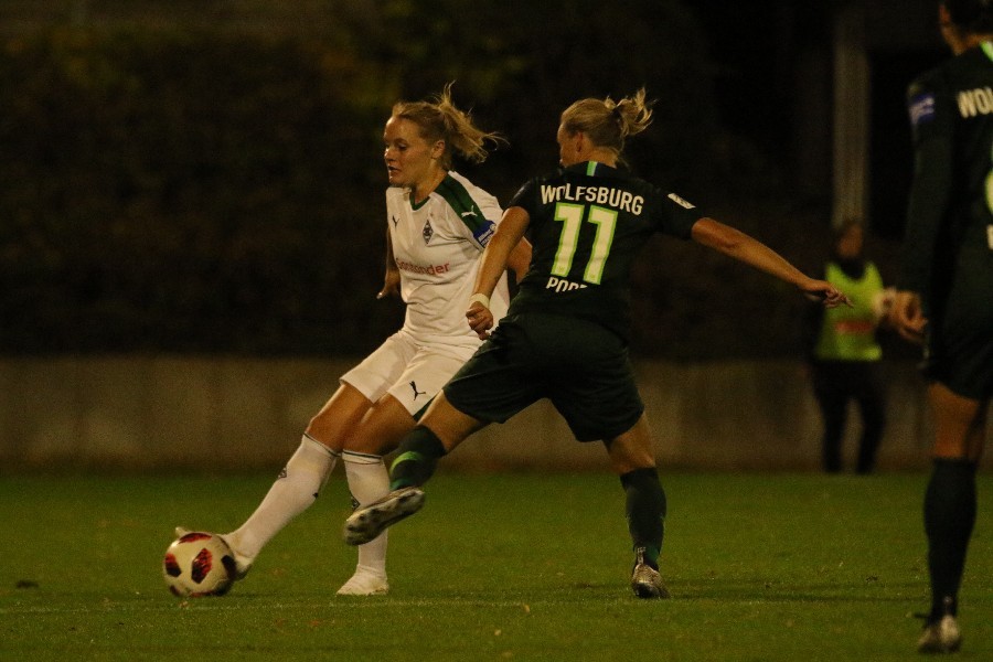 Borussia Mönchengladbach- VfL Wolfsburg (2018/19)_20