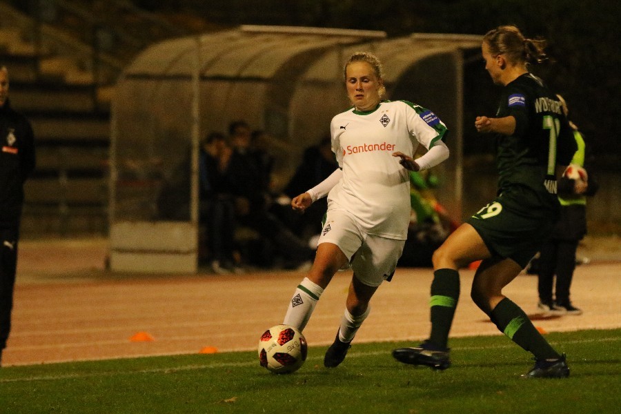 Borussia Mönchengladbach- VfL Wolfsburg (2018/19)_33