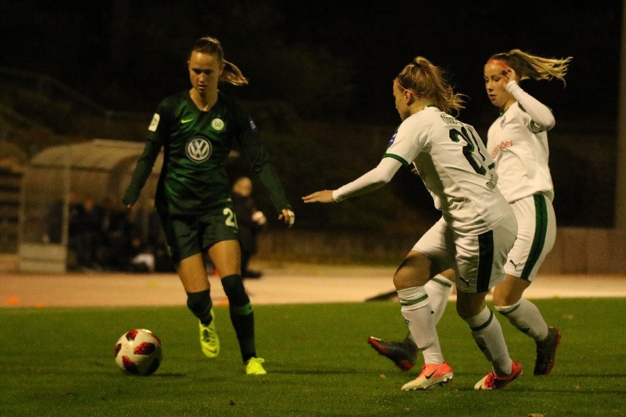 Borussia Mönchengladbach- VfL Wolfsburg (2018/19)_41