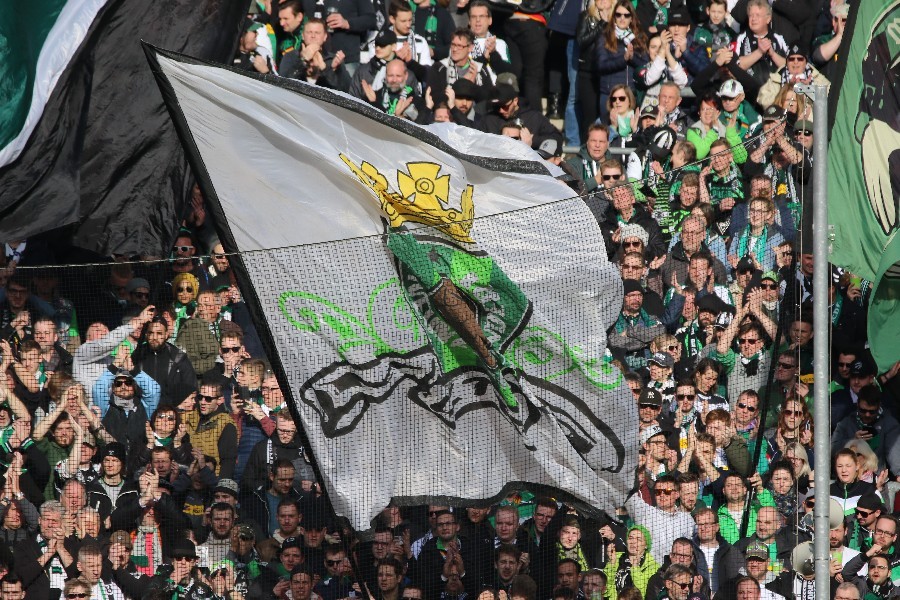 Borussia Mönchengladbach- VfL Wolfsburg (2018/19)_10