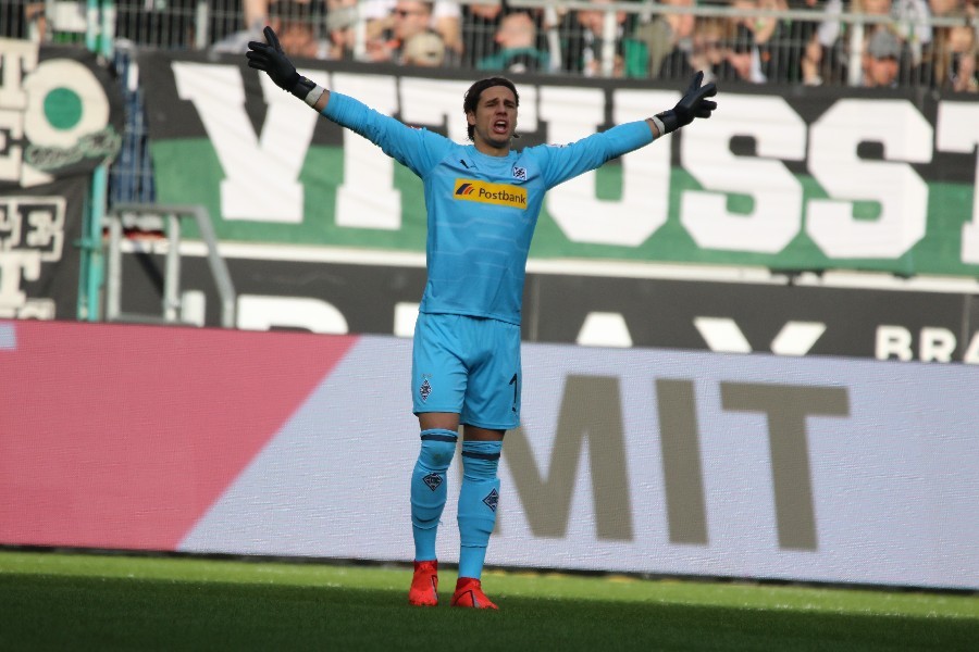 Borussia Mönchengladbach- VfL Wolfsburg (2018/19)_1