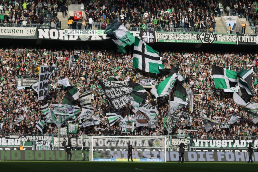 Borussia Mönchengladbach- VfL Wolfsburg (2018/19)_2