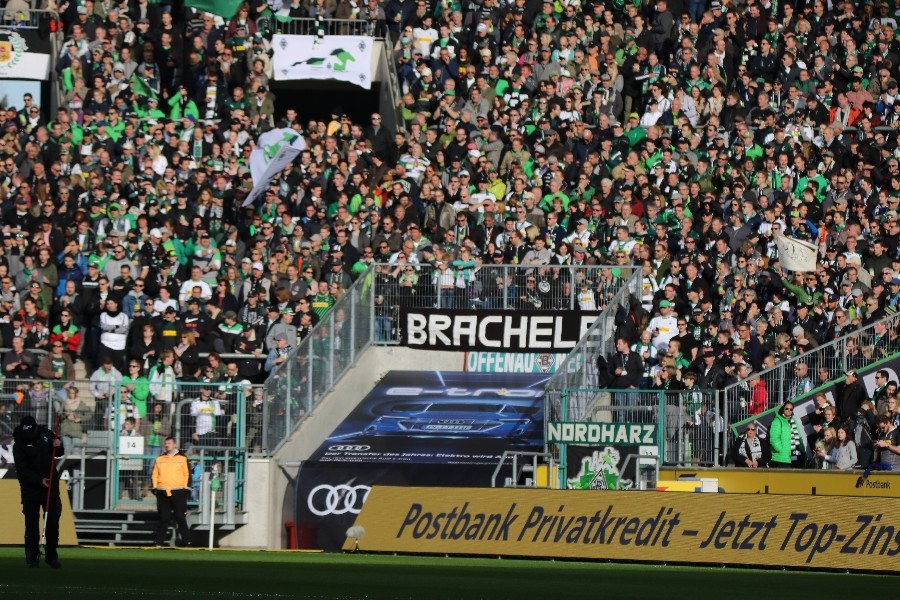 Borussia Mönchengladbach- VfL Wolfsburg (2018/19)_4