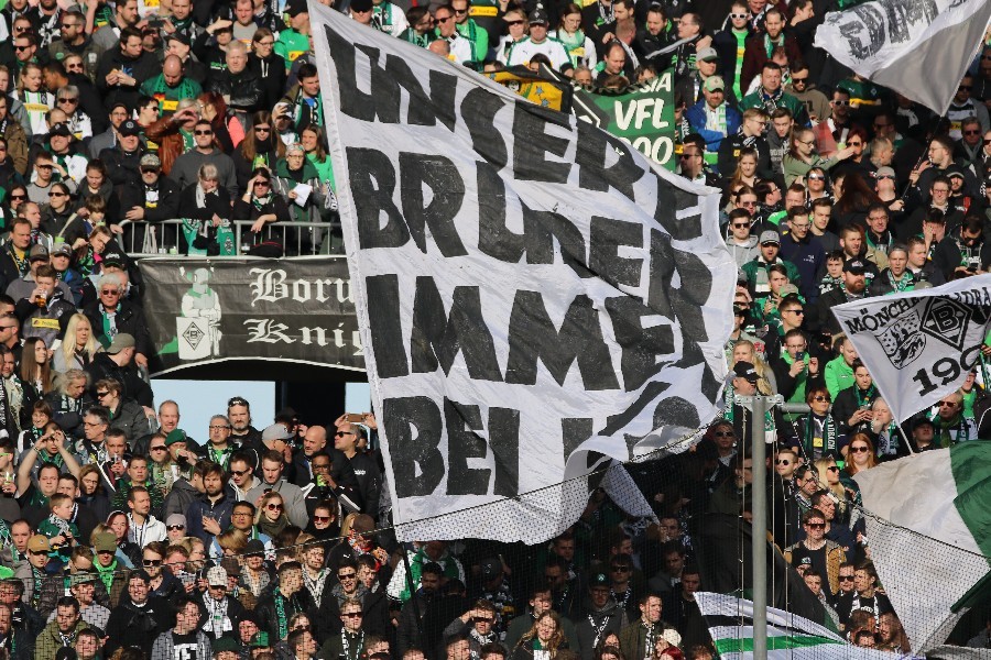 Borussia Mönchengladbach- VfL Wolfsburg (2018/19)_5