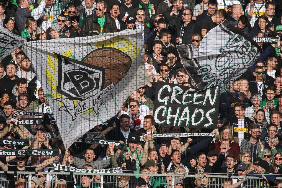 Borussia Mönchengladbach- VfL Wolfsburg (2018/19)_7