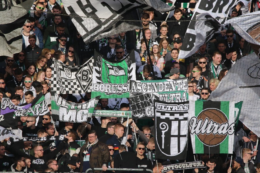 Borussia Mönchengladbach- VfL Wolfsburg (2018/19)_9