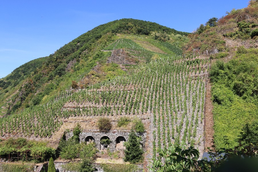Cochem/ Beilstein August 2018_13