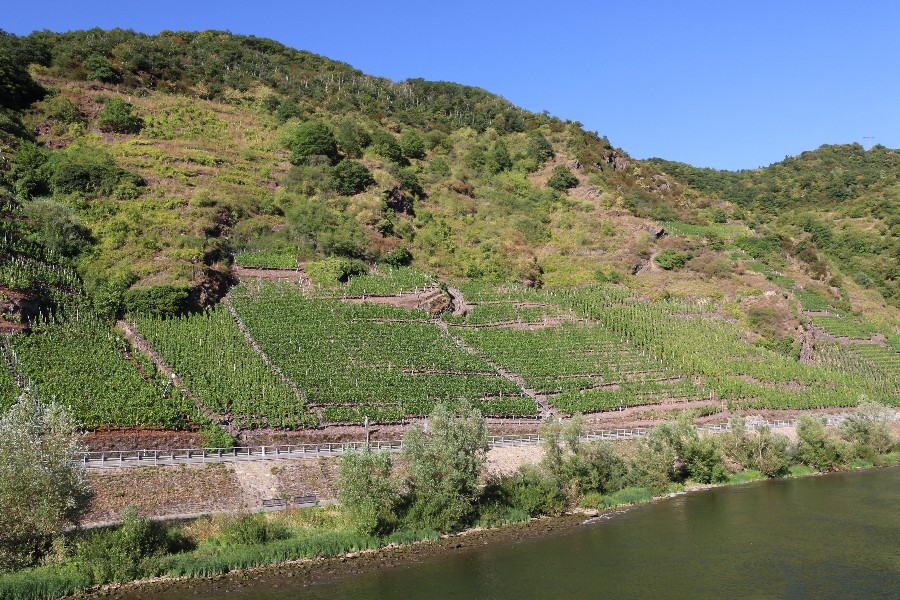 Cochem/ Beilstein August 2018_1