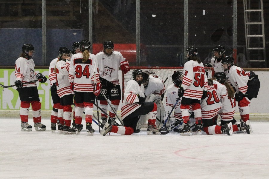 Dinslakener Kobras- KEC Frauen 1c (2017/18)_1