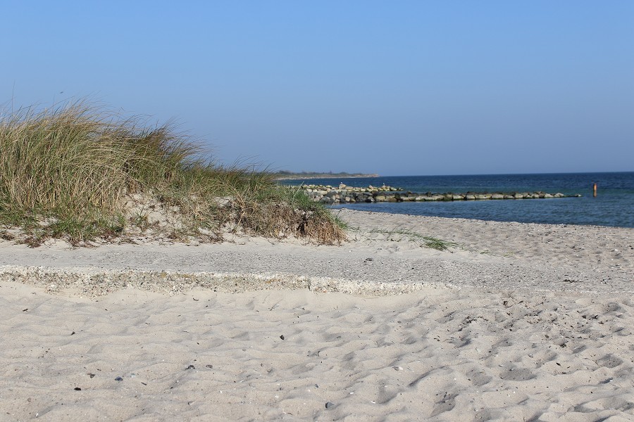 Fehmarn April 2019_10
