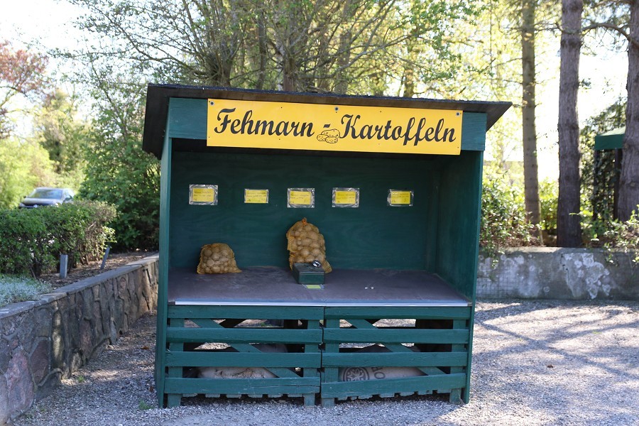 Fehmarn April 2019_13