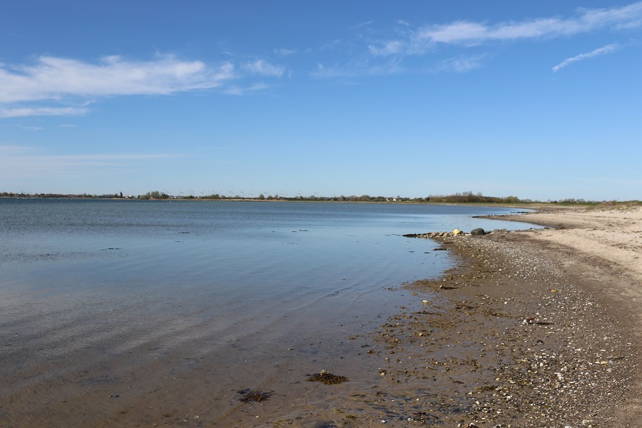 Fehmarn April 2019_15