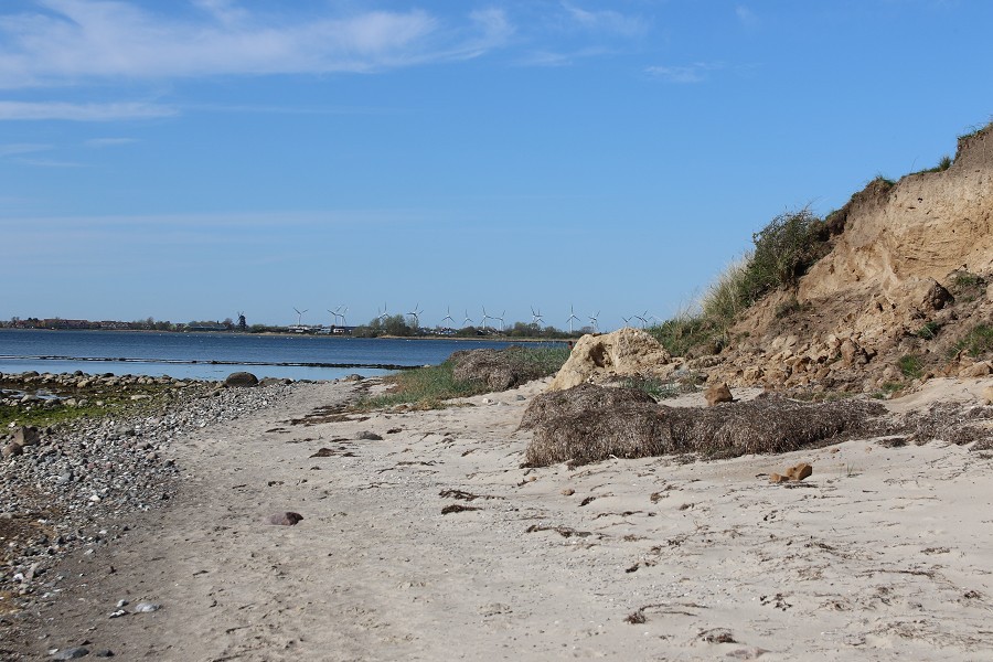 Fehmarn April 2019_19