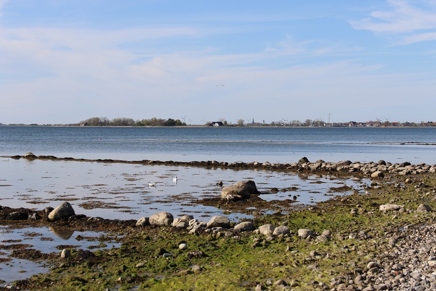 Fehmarn April 2019_20