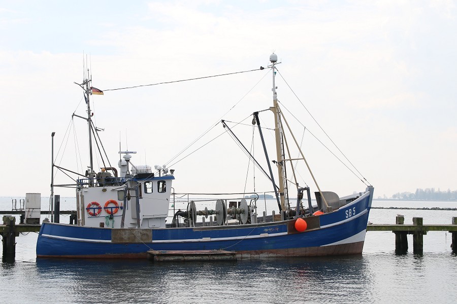 Fehmarn April 2019_27